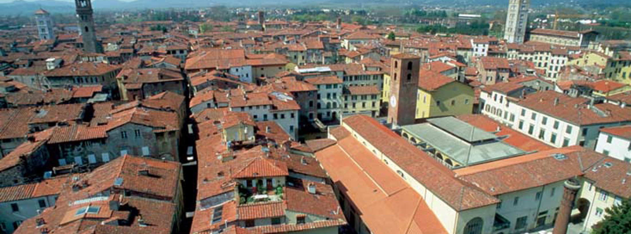 Pisa-Lucca provinsen