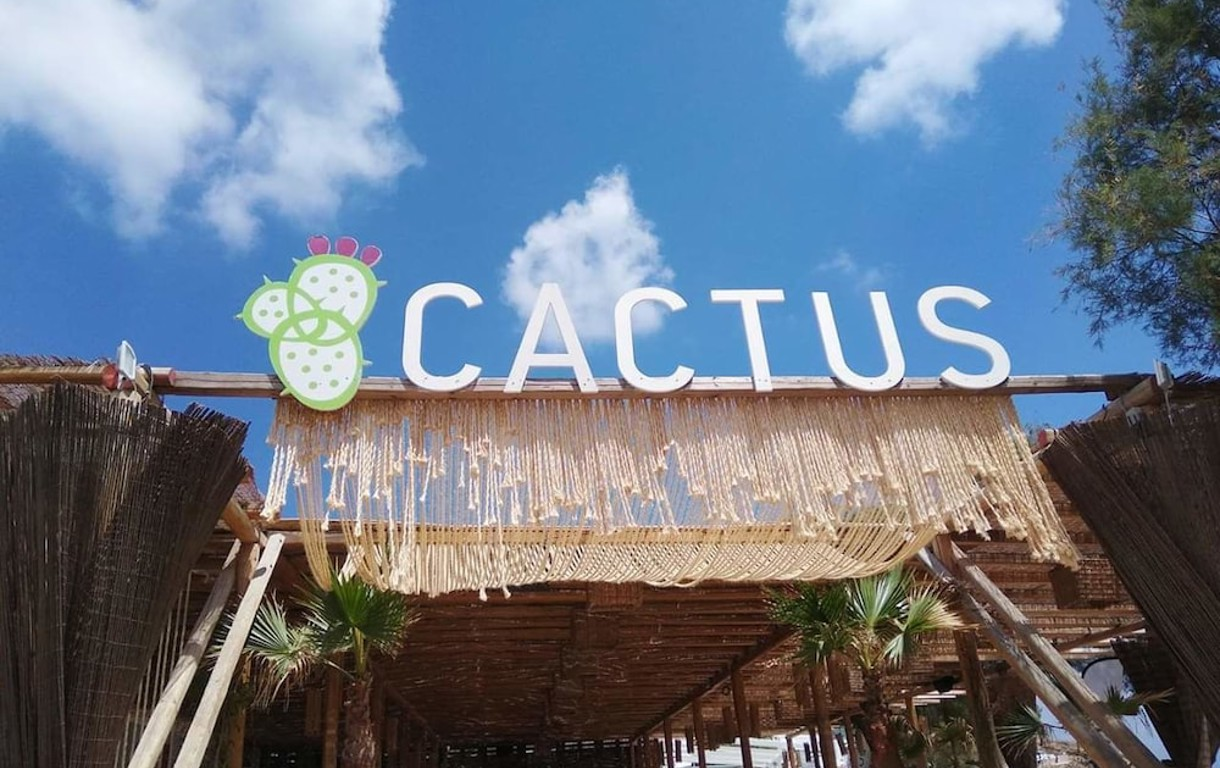 Cactus Beach Paros