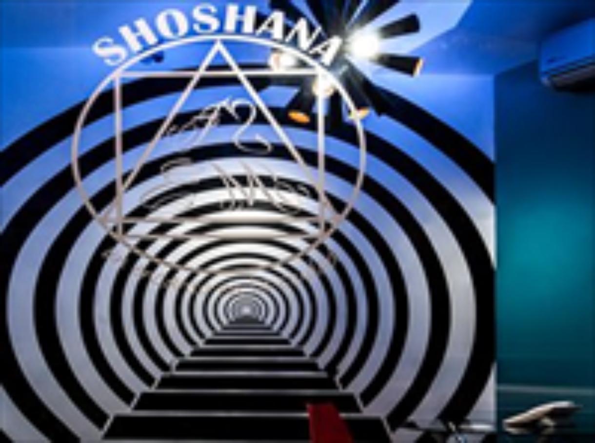 Shoshana Apart Boutique